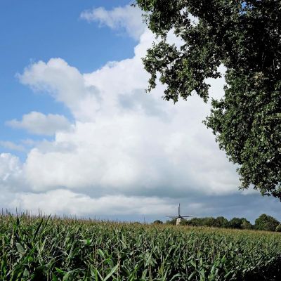 Overzicht van de Englezingen 2009-2016
