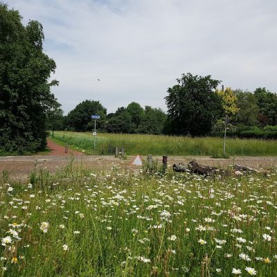 Burgerinitiatief: Bloemen op noordelijke Eng