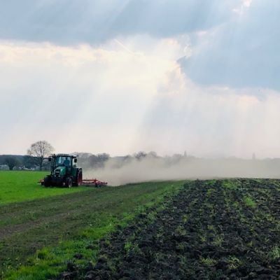Mechanische onkruidverdelging met de eg