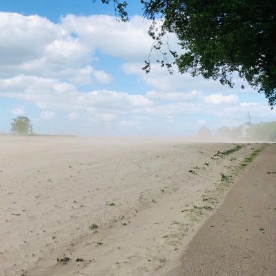 Forse wind verplaatst veel zand
