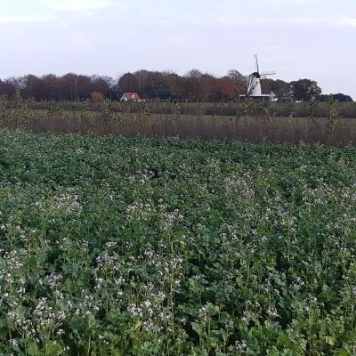 Eng ongeschikt voor zonnepanelen