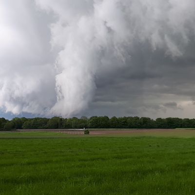 Naar meer biodiversiteit op en rond de zuidelijke Eng