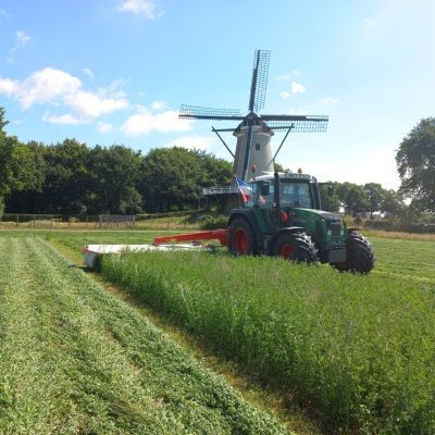 Meerjarig gewas luzerne wordt gemaaid