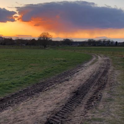 Schitterende luchten, hé, een groene specht
