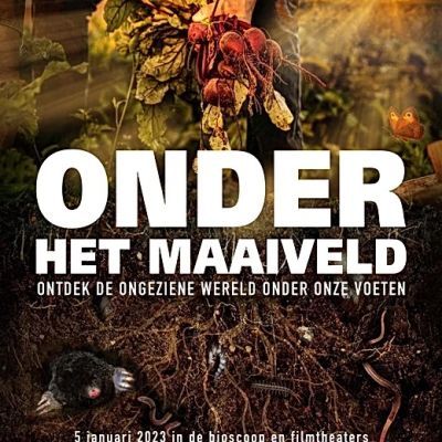 Film Onder het maaiveld draaide in Artishock 
