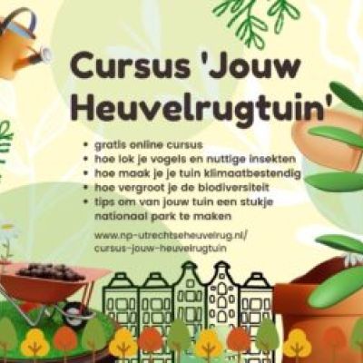 Online cursus om je tuin te vergroenen!