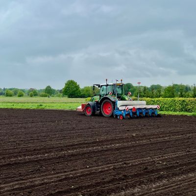 Mais zaaien voor de Soesterse koeien