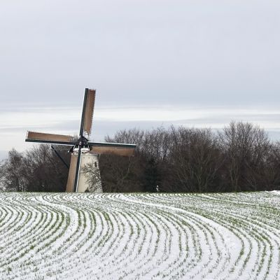 Winter op de Eng