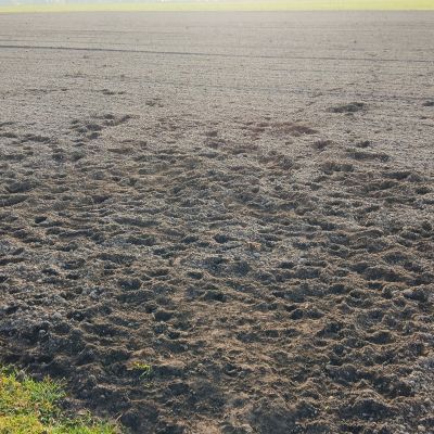 Schade aan akkers door honden